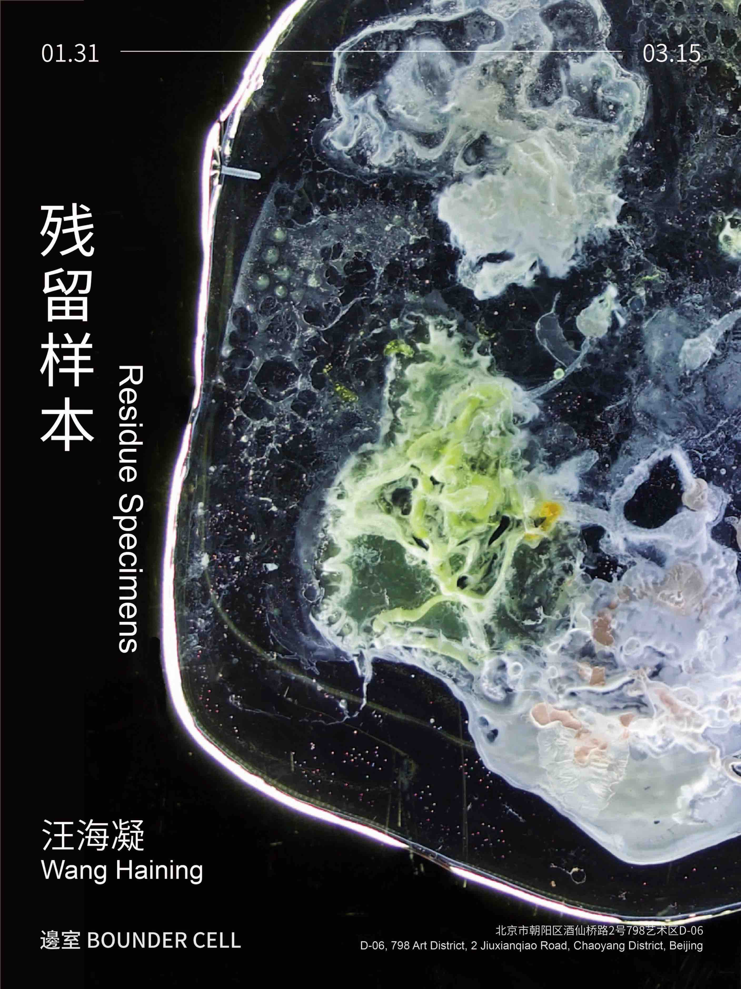 邊室|「残留样本」汪海凝