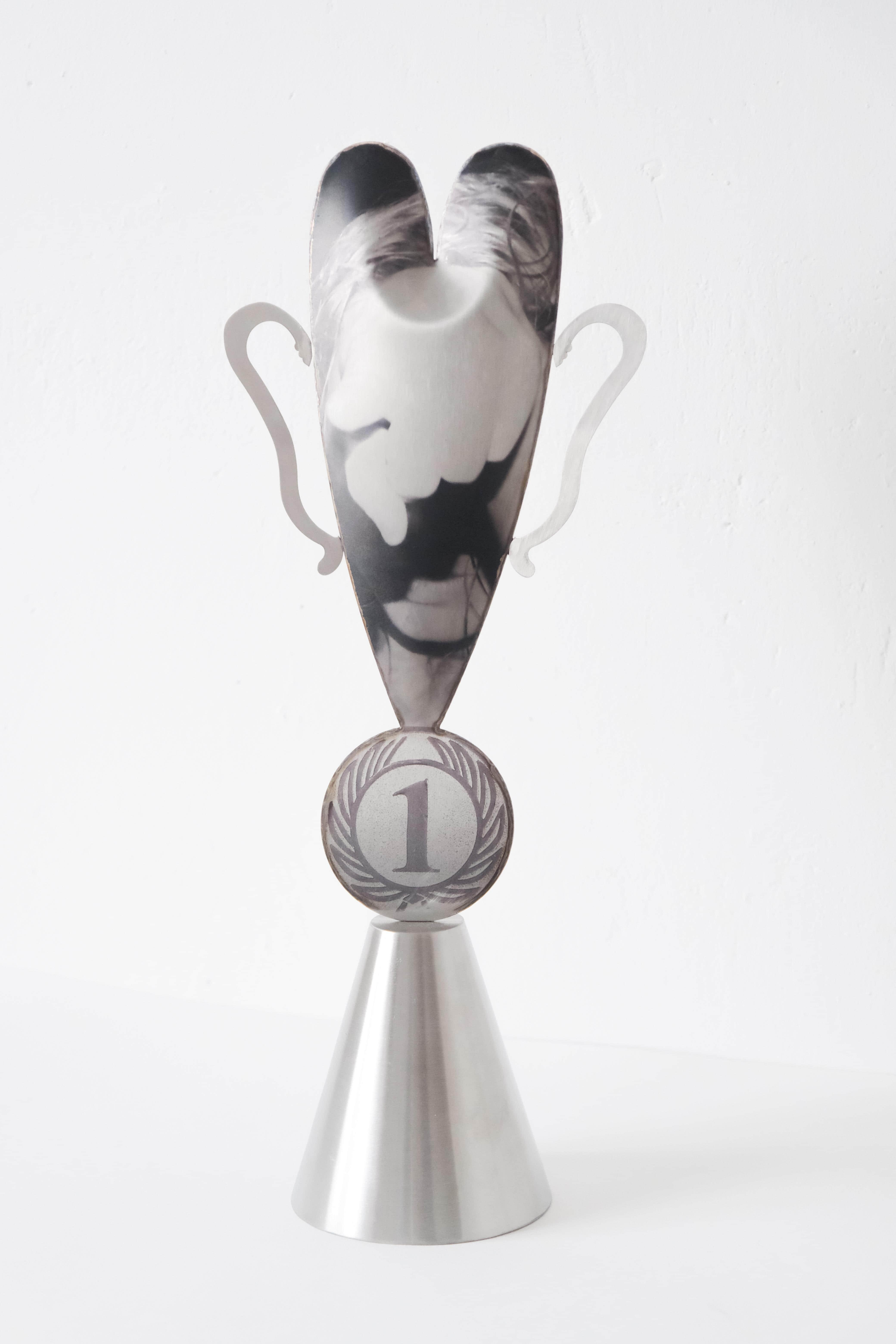 《不是第一》杯具系列