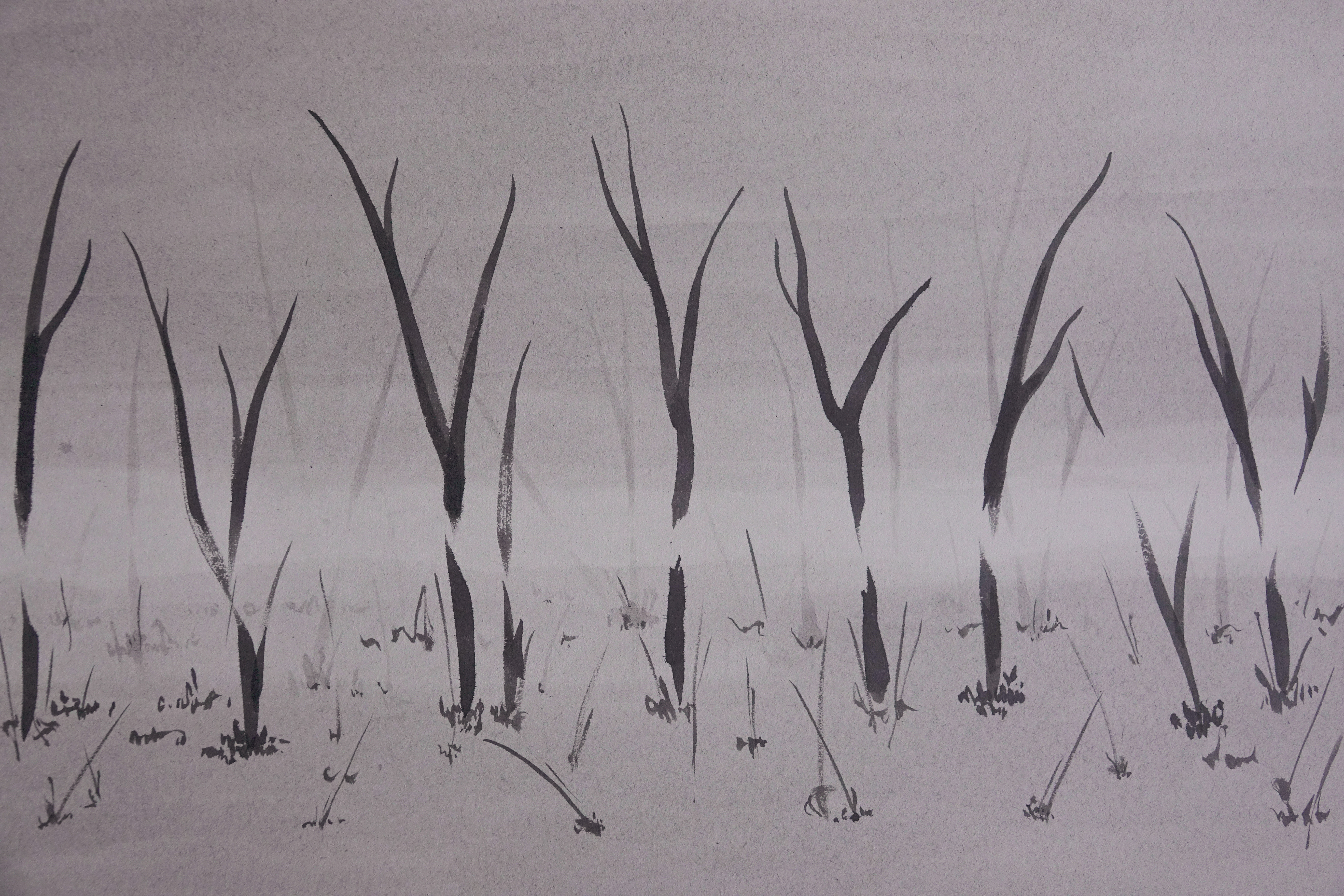 世界尽头的风景