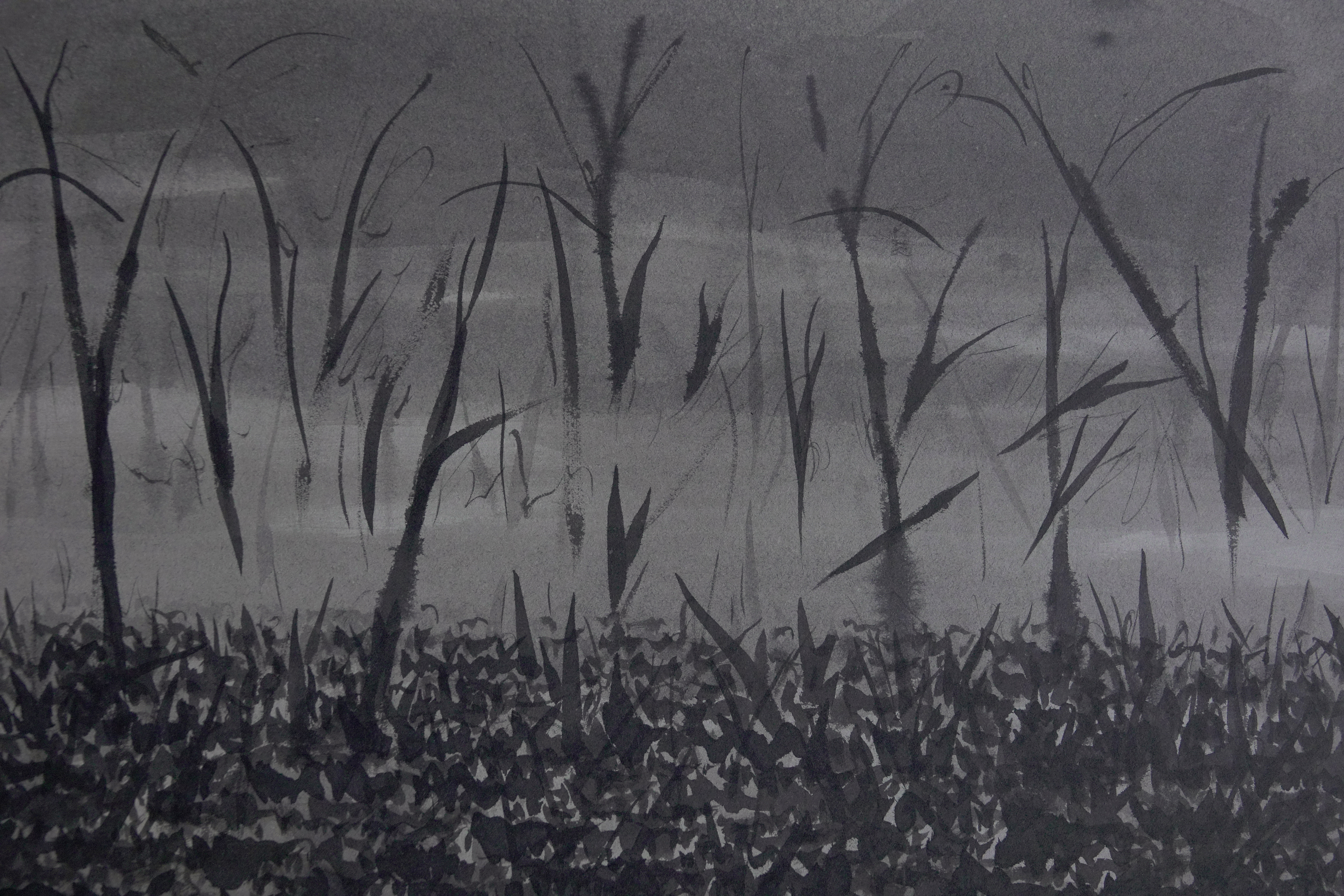 世界尽头的风景 