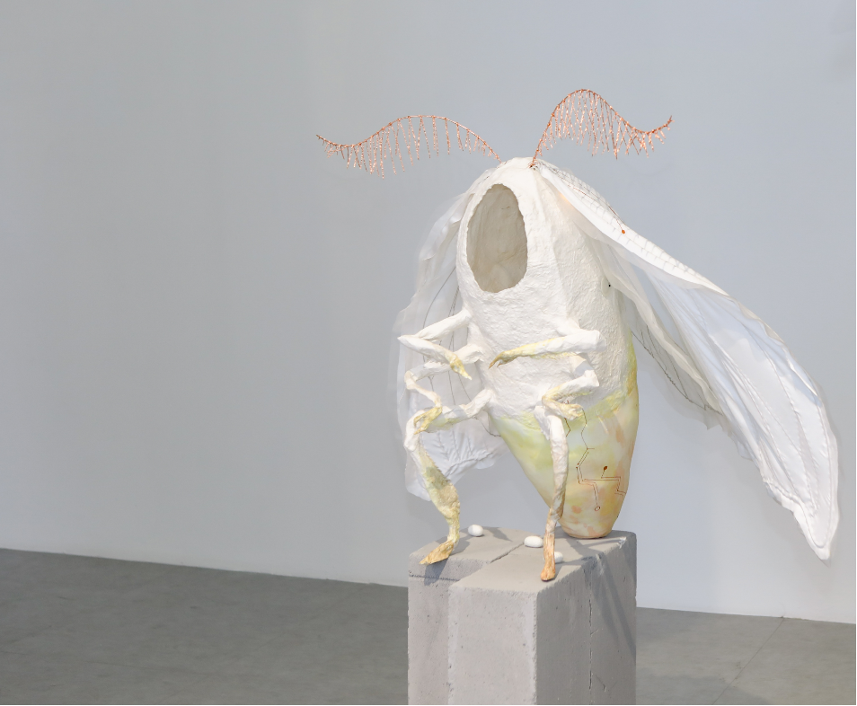 蚕《成体》系列