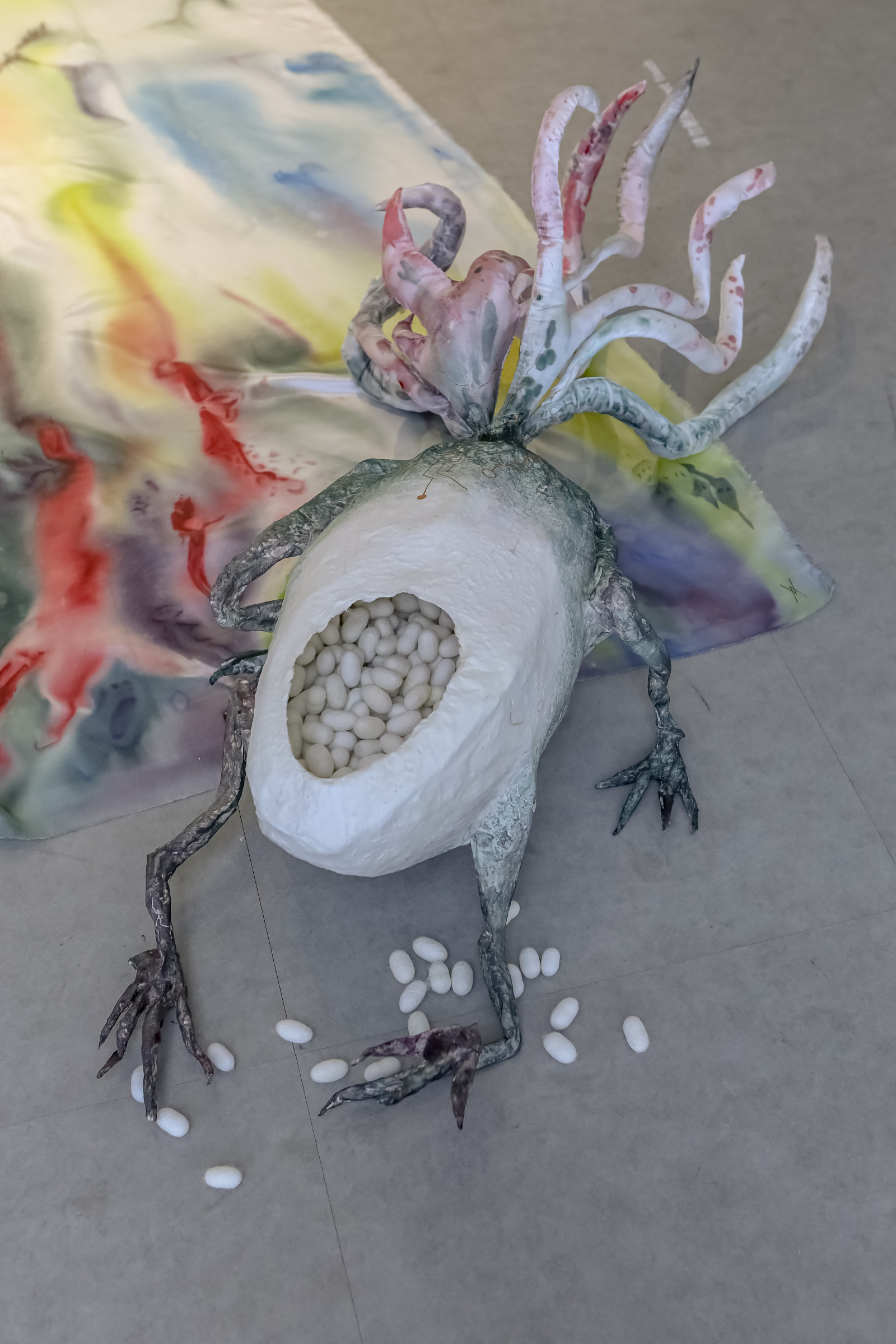 青蛙《成体》系列