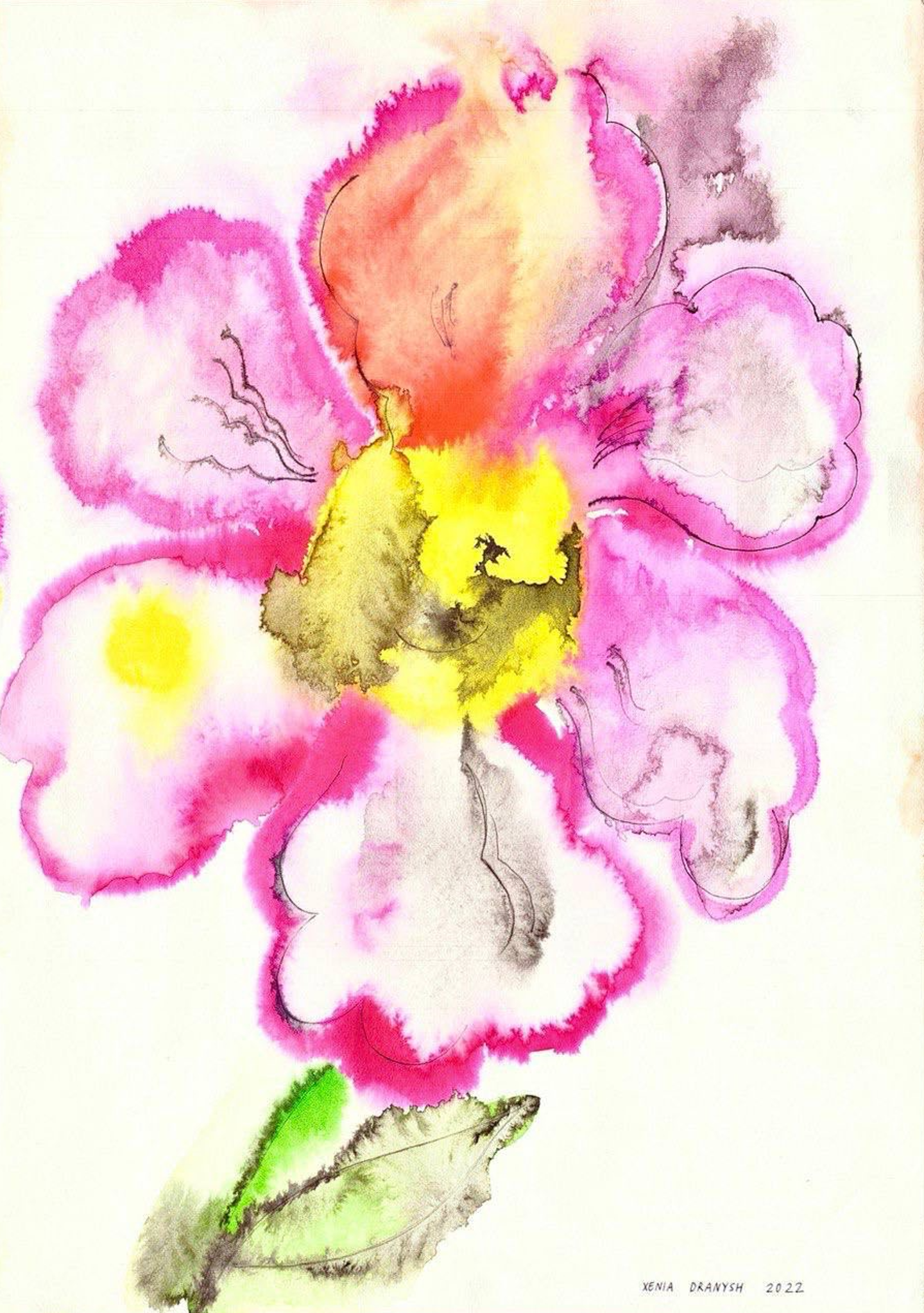 出自《花之冥想》系列