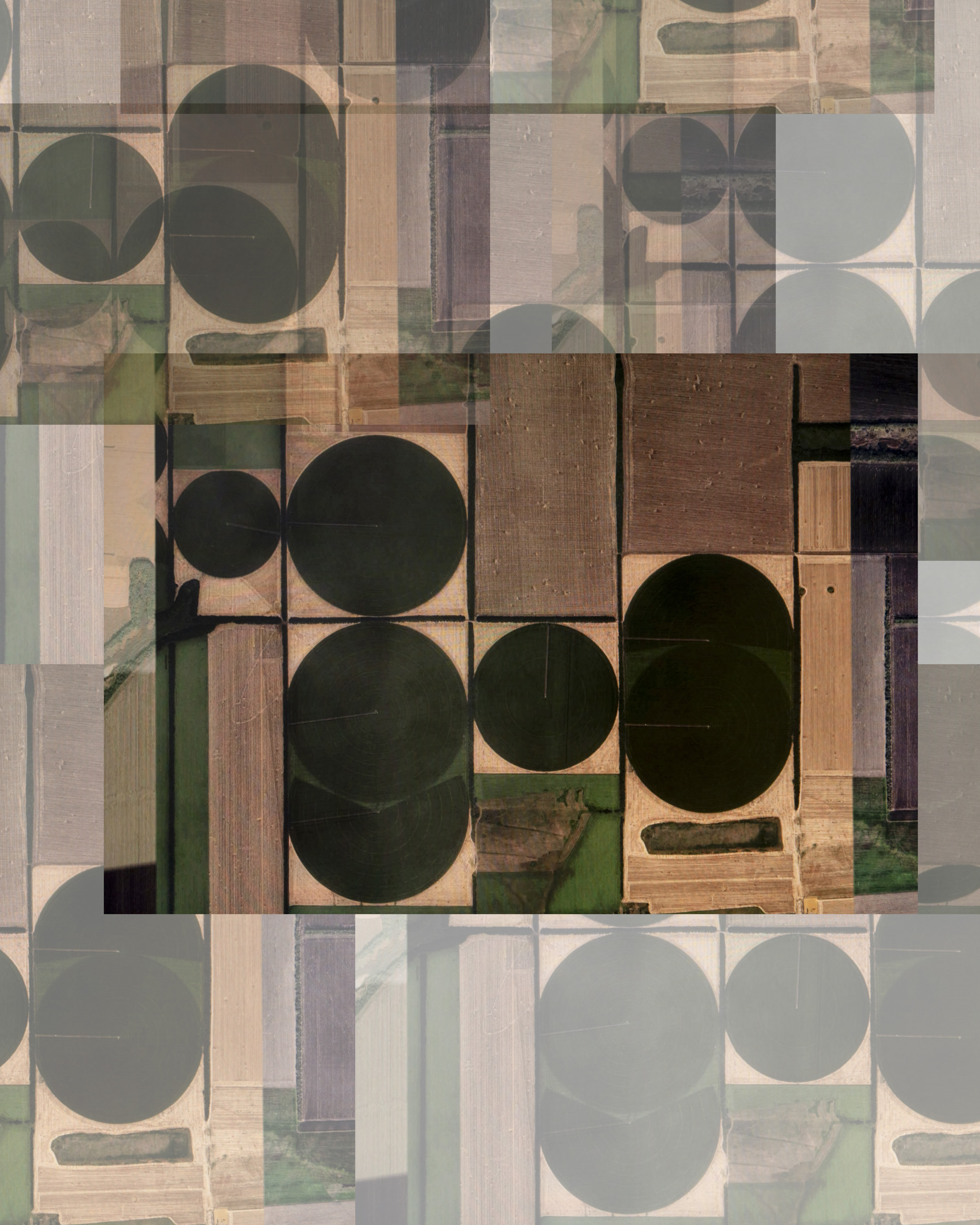 即使它看起来像草- 俄罗斯 博尔沙亚村 3.0.0