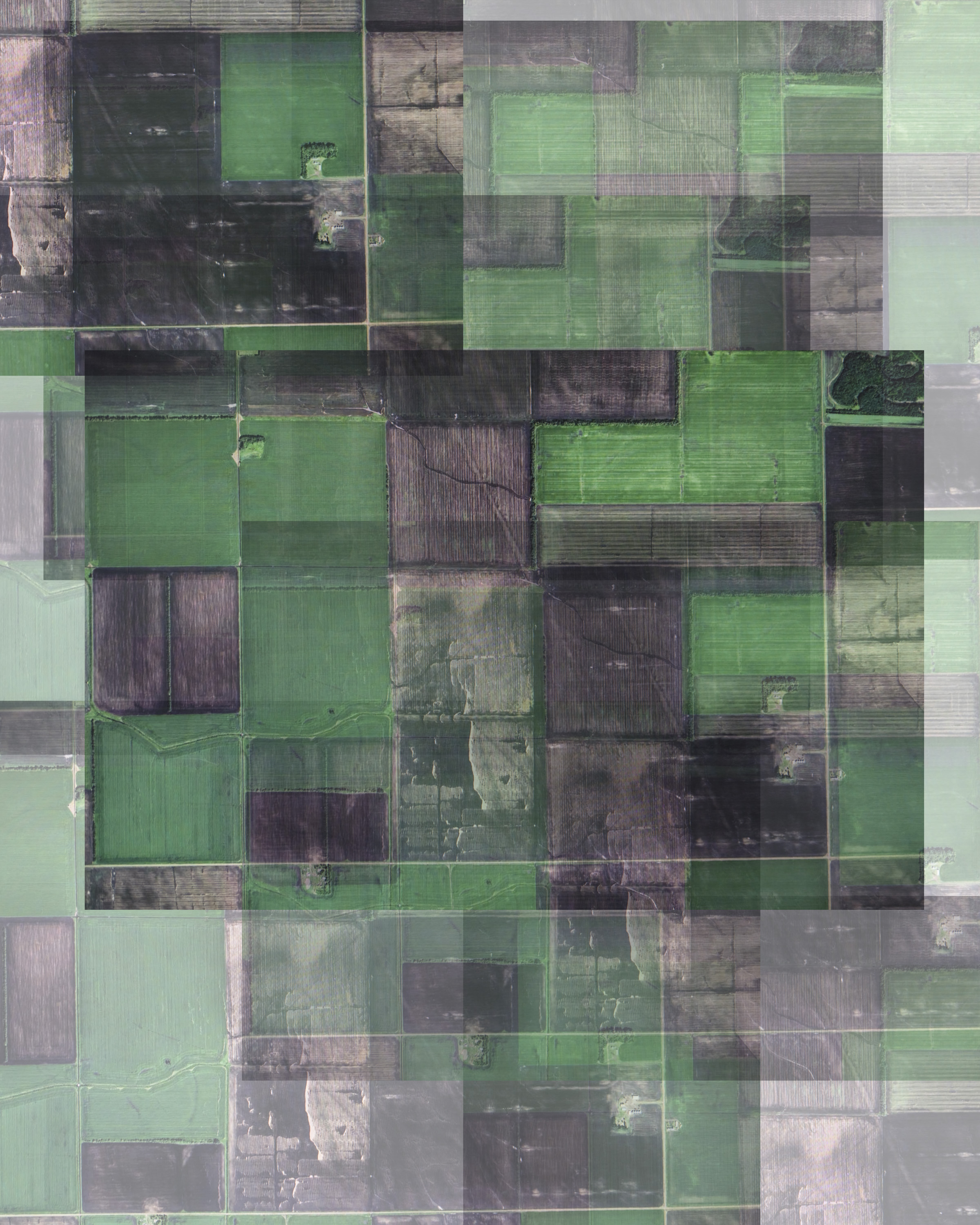 即使它看起来像草- 美国 卡瓦利尔 4.0.3