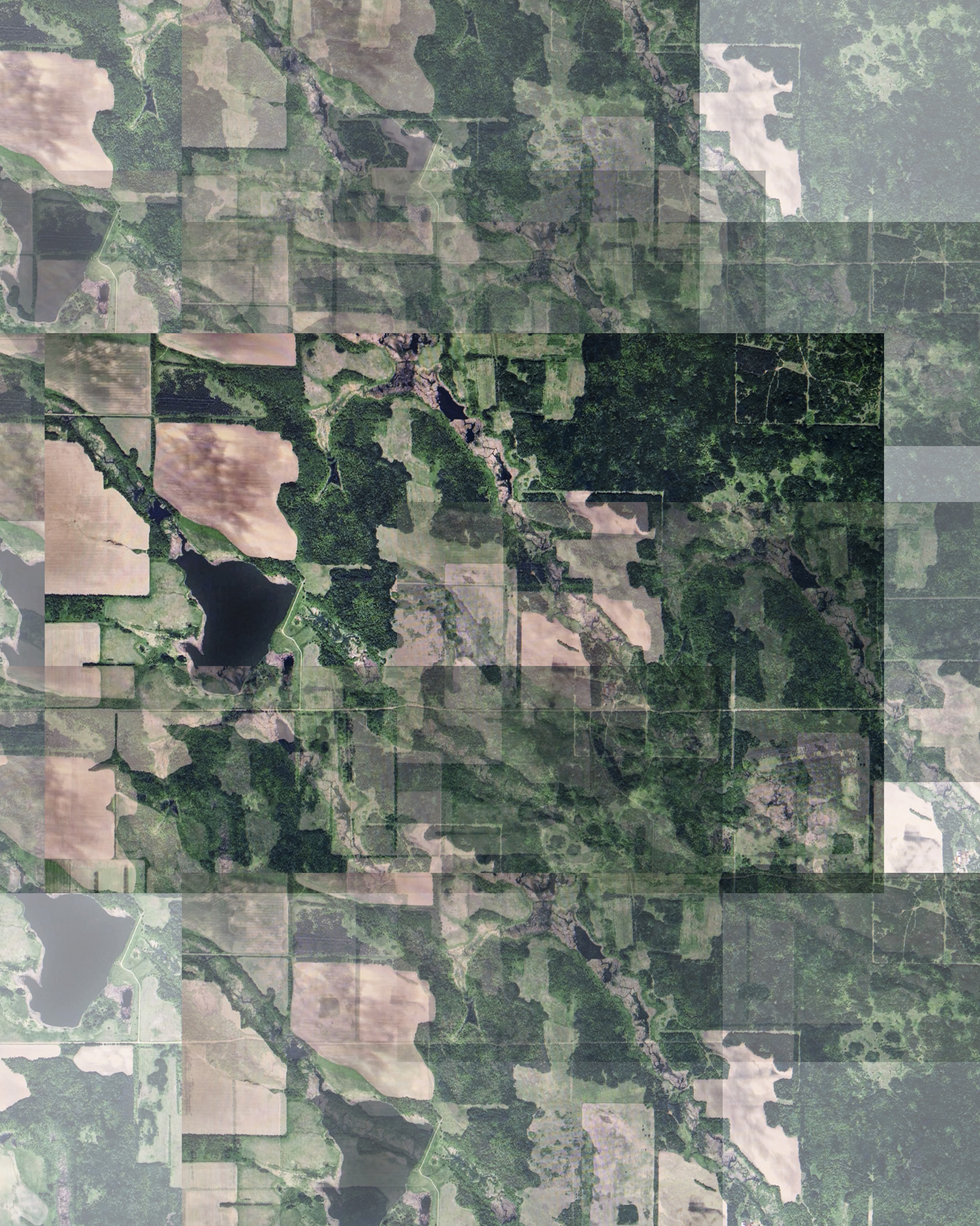 即使它看起来像草- 美国 卡瓦利尔 4.0.4