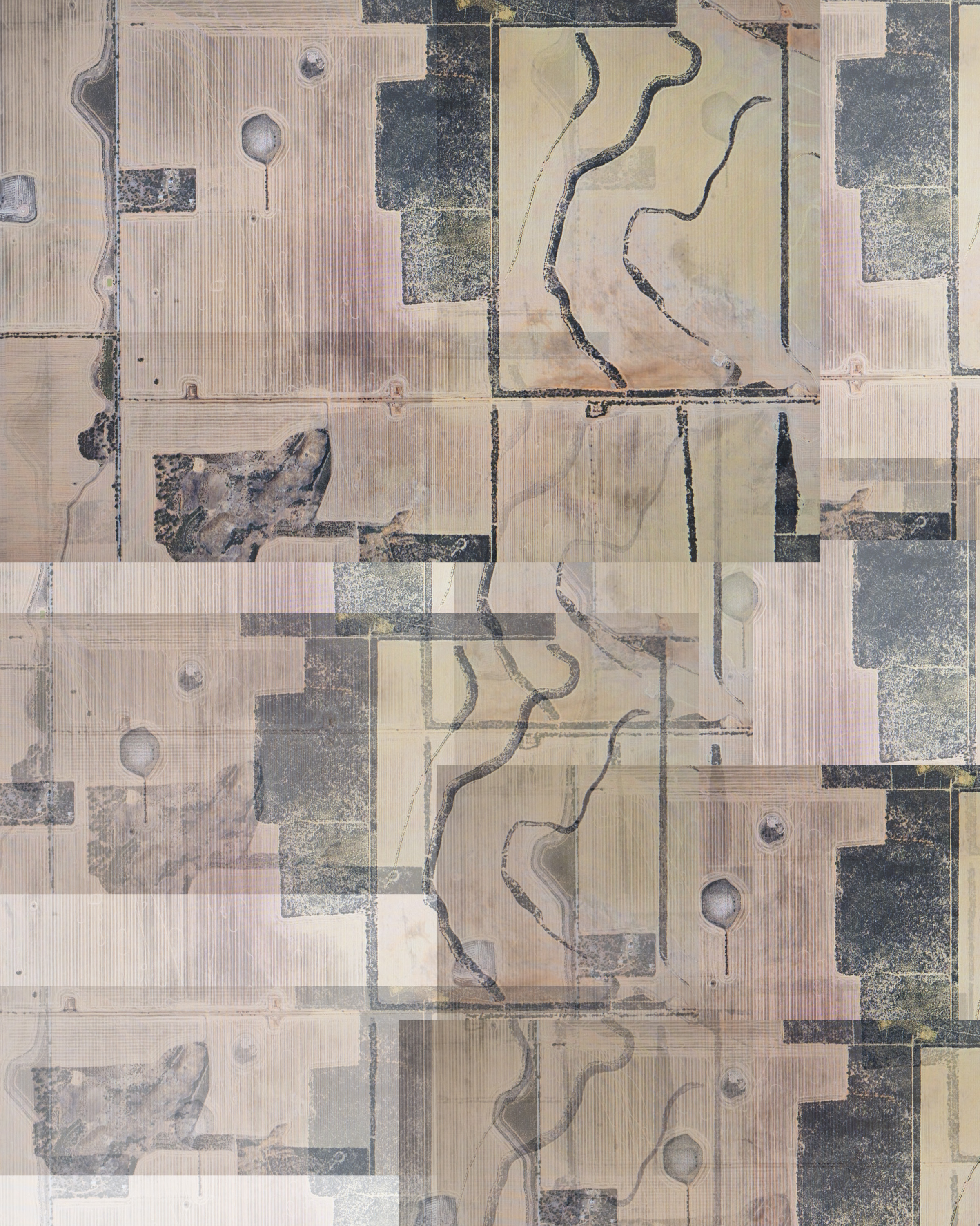 即使它看起来像草- 澳大利亚 博达林 3.0.4