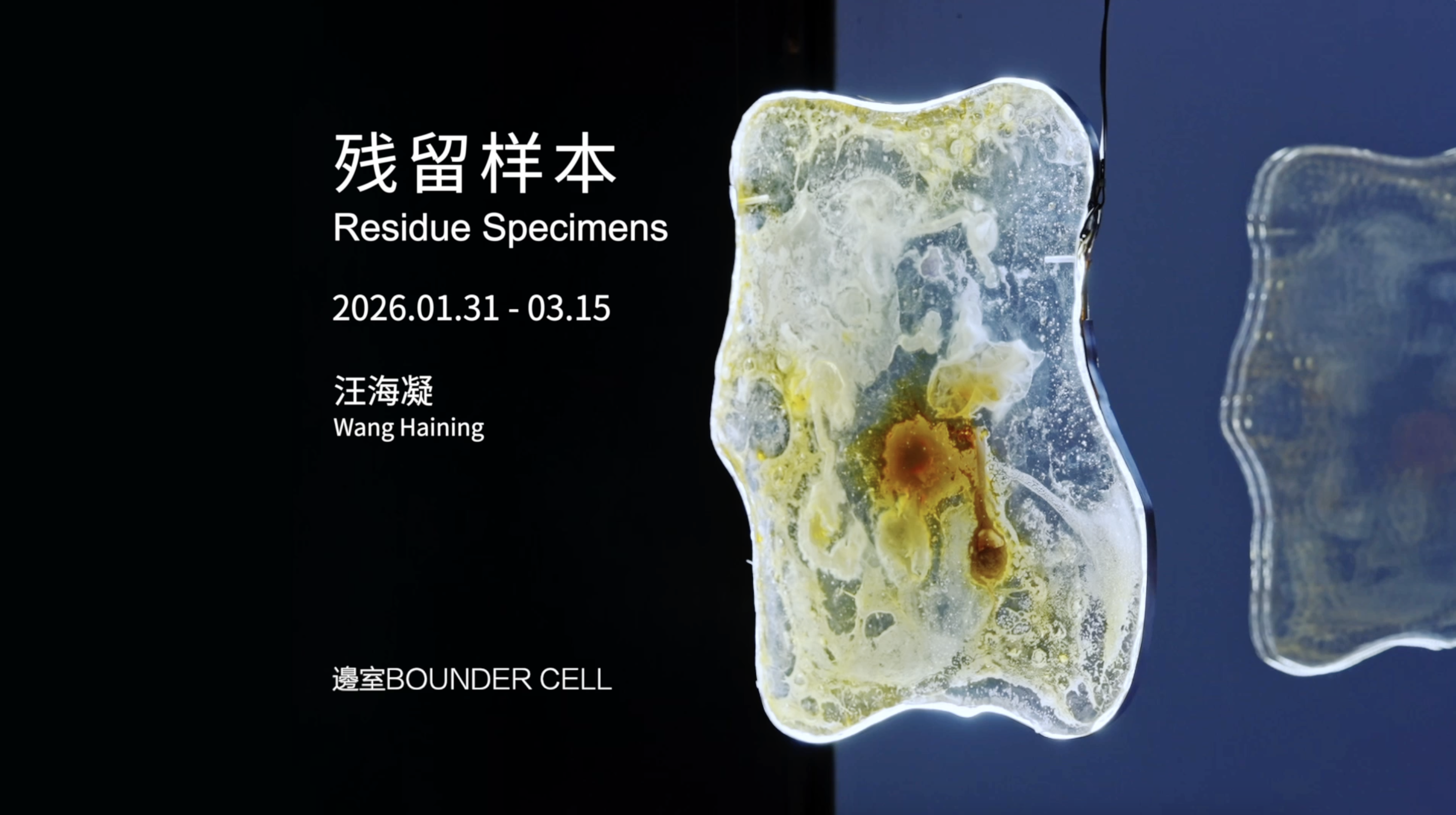 「残留样本」汪海凝