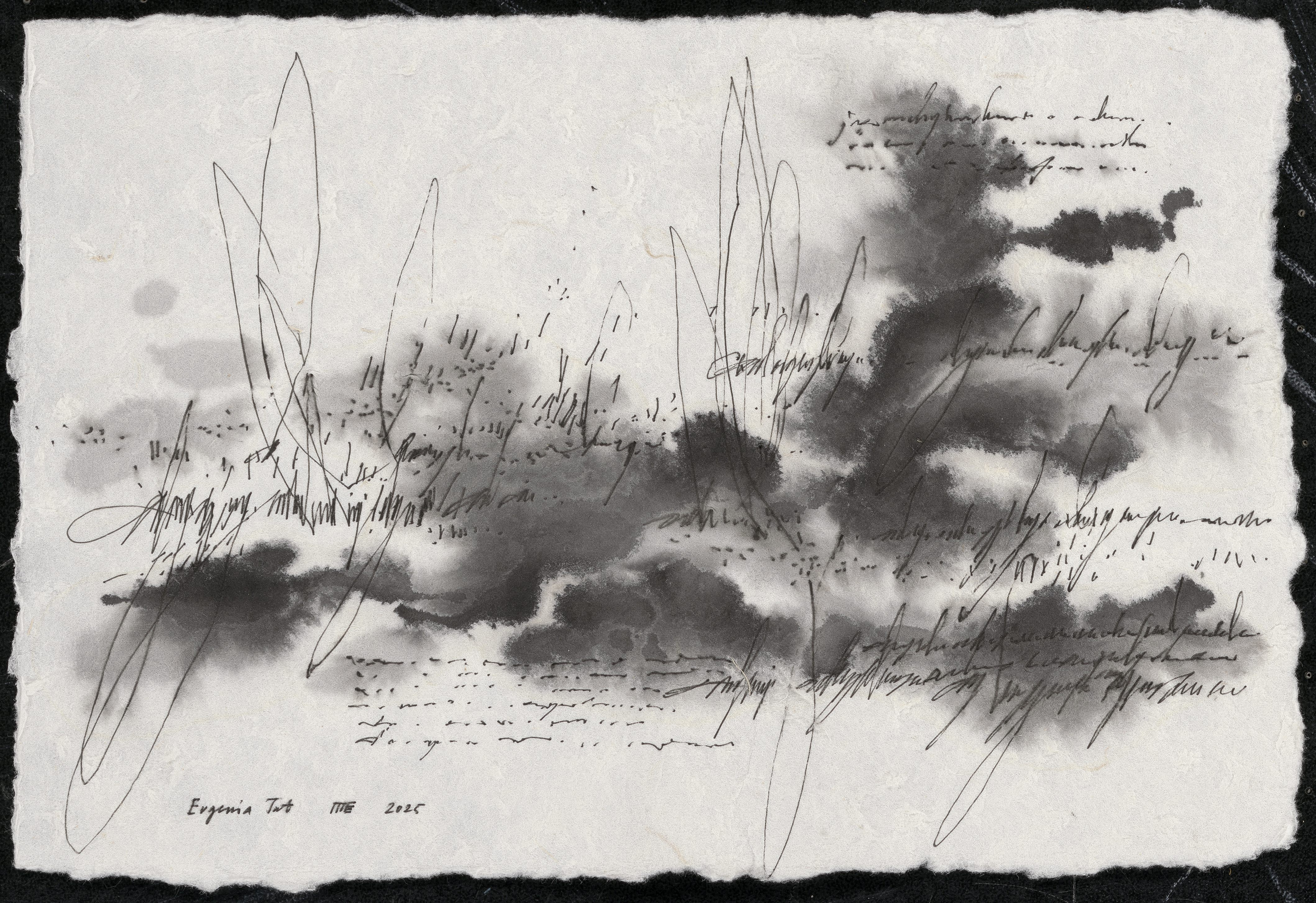 这封信笺，同我一样，记得湖水与墨色的气息