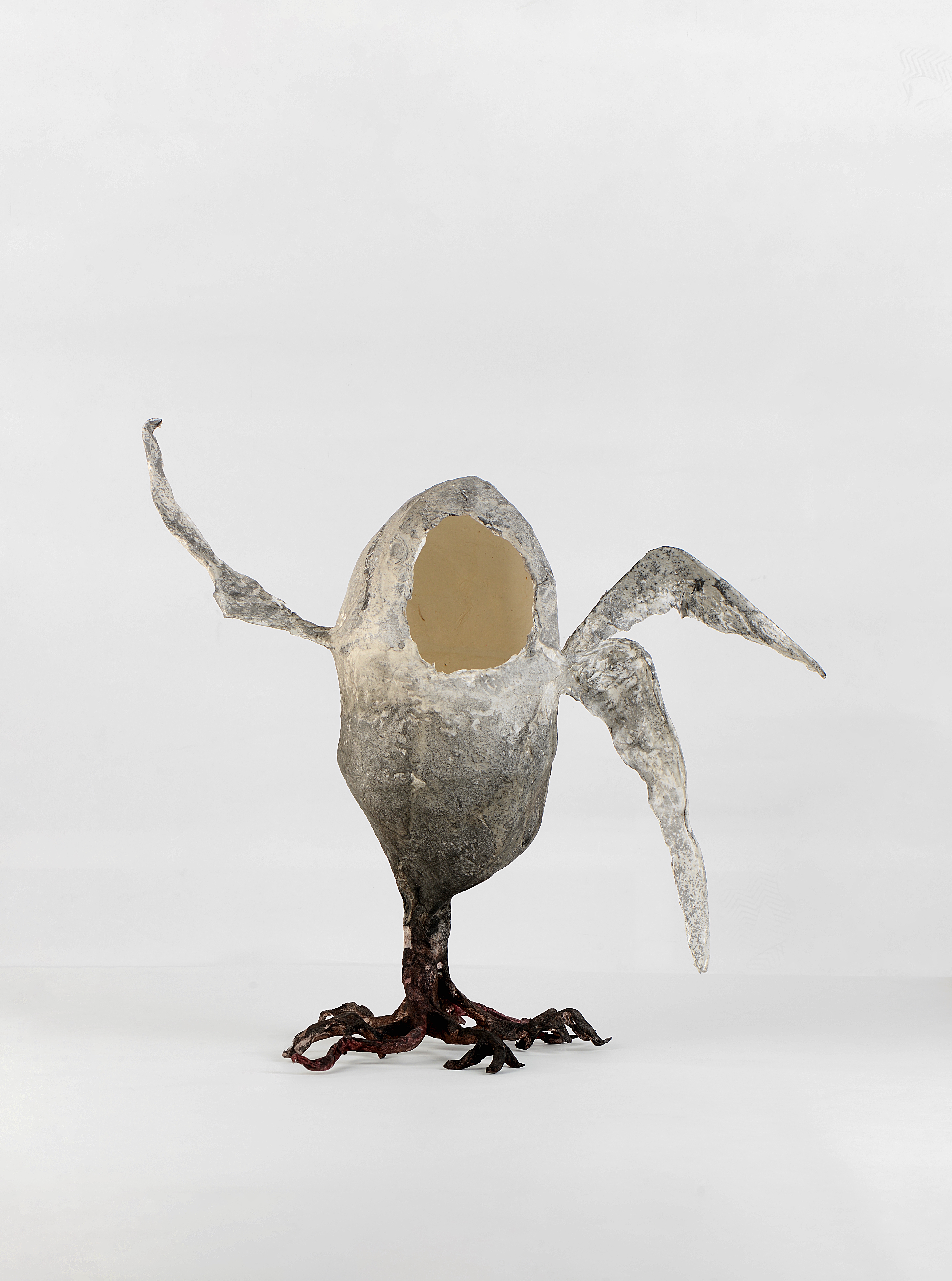 鸟《成体》系列