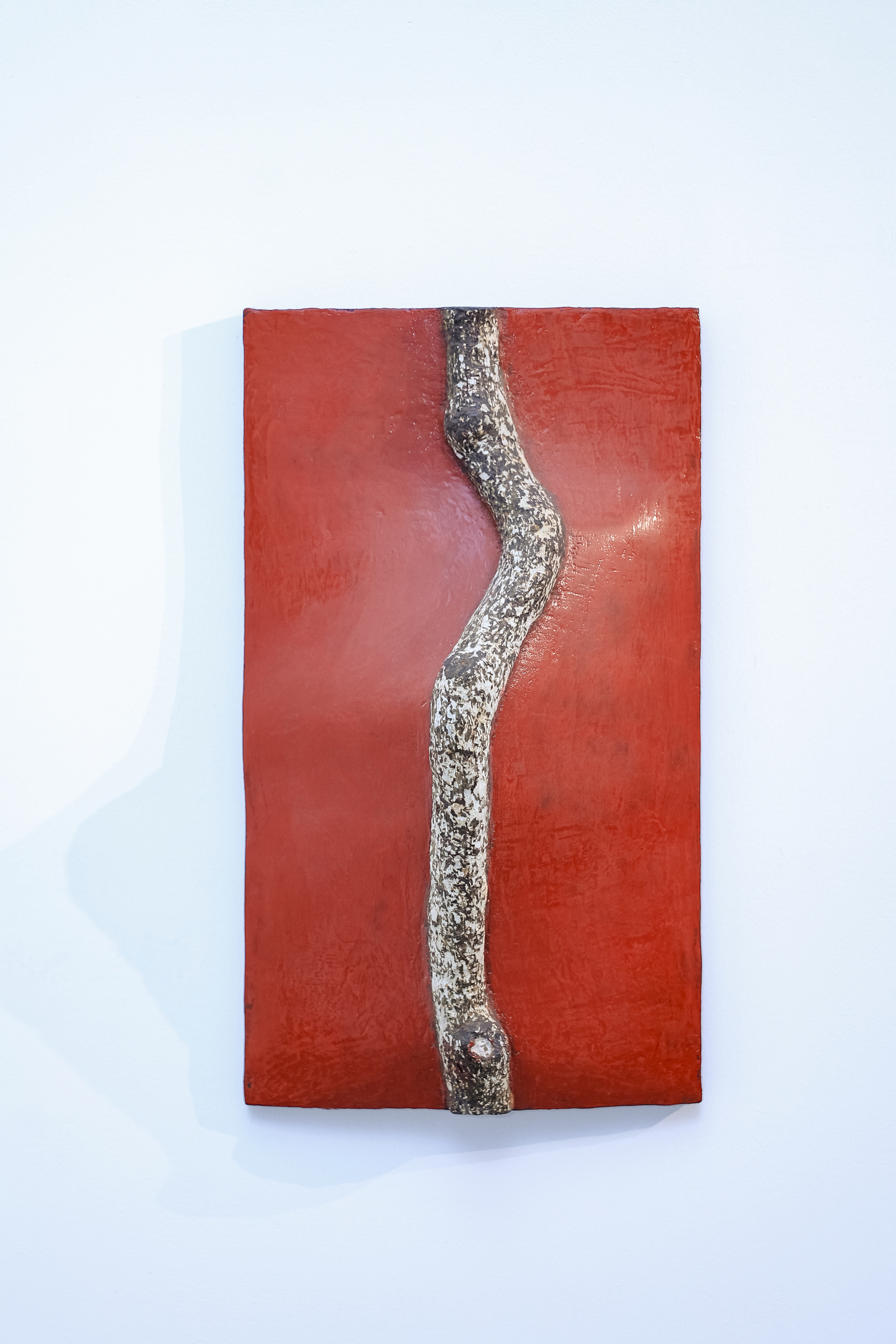 Spine