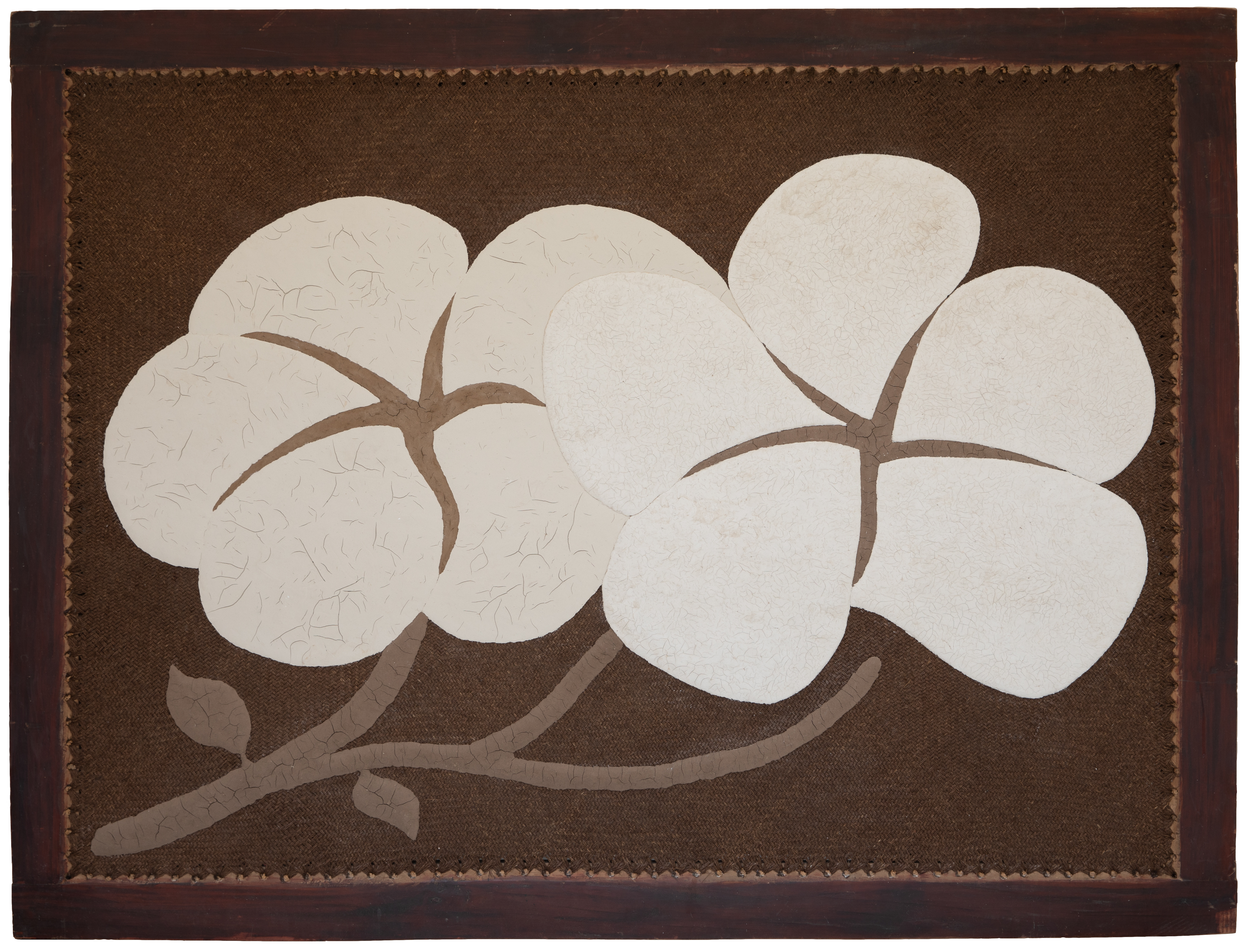 Two cotton flowers