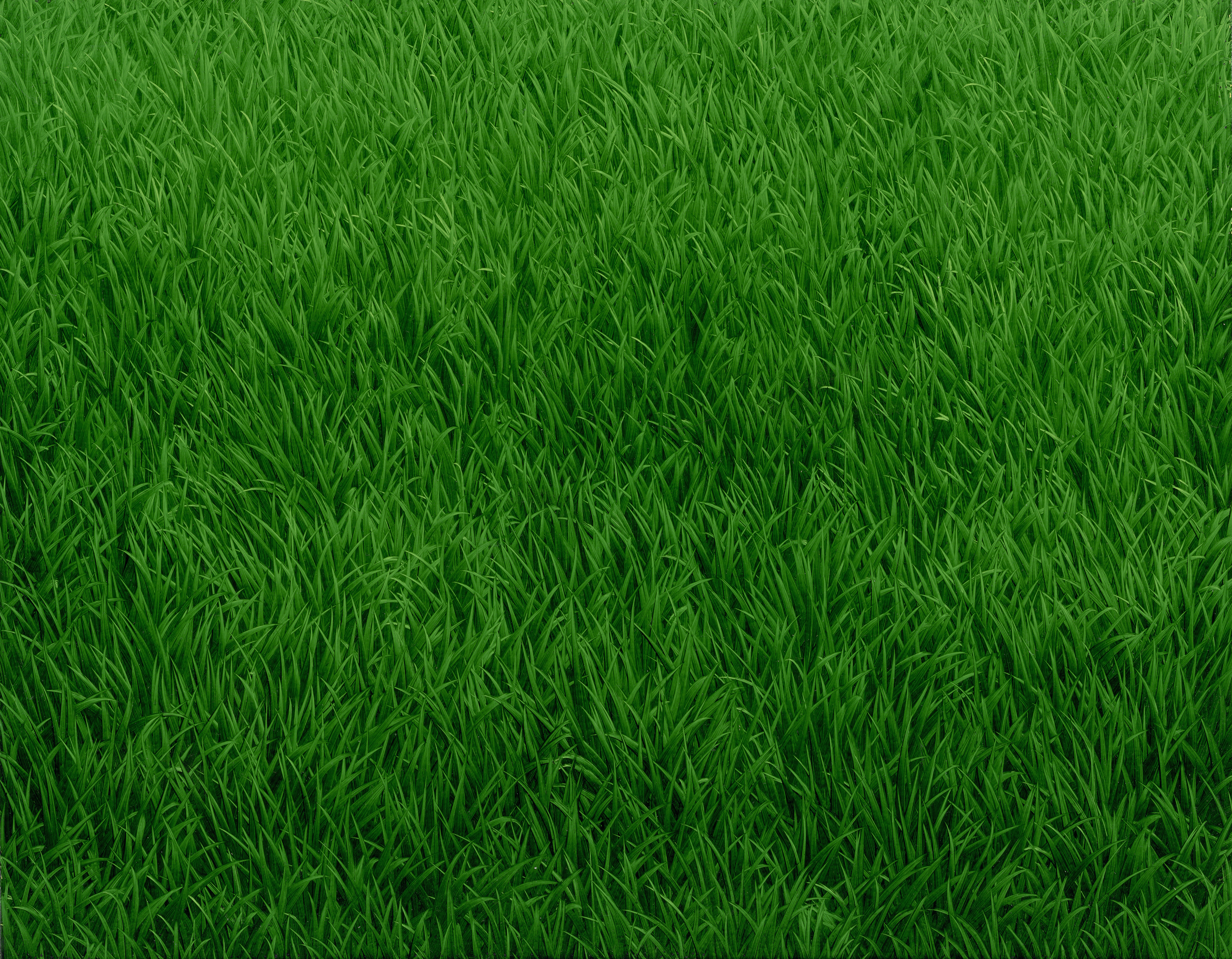锋芒