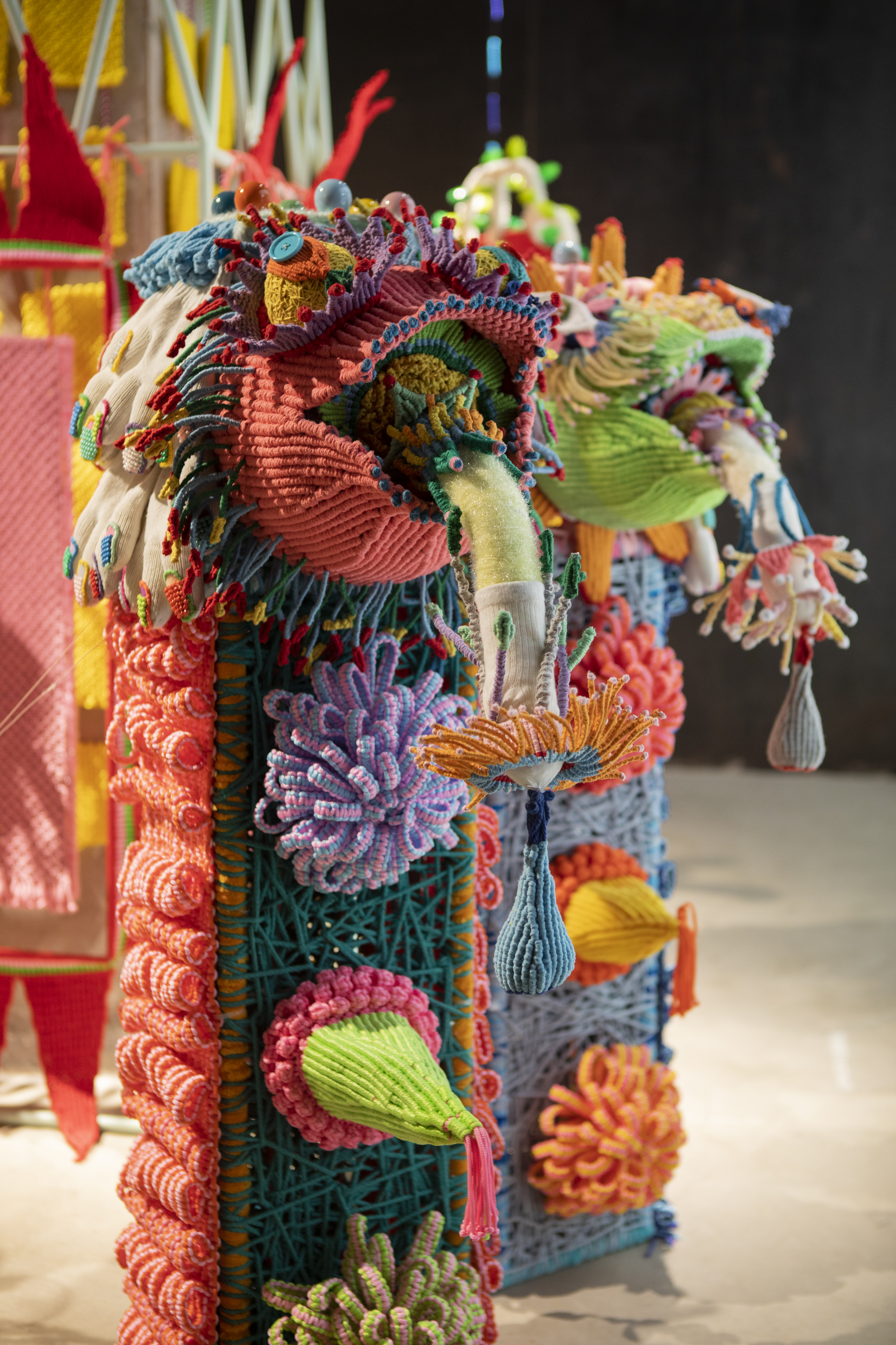 即兴兔子洞&mdash;鱼缸